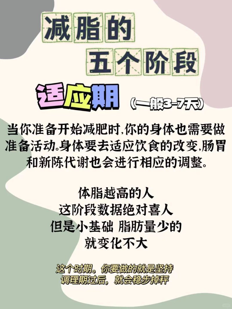 科学减脂