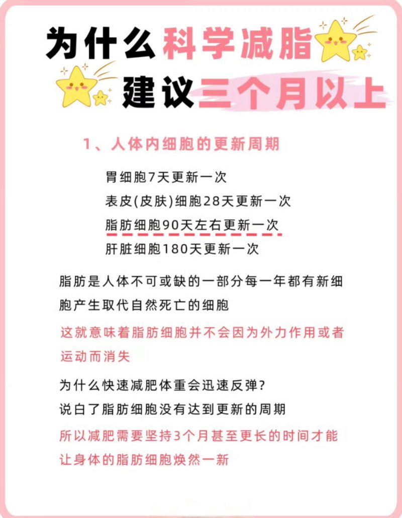 为什么科学减脂需要三个月以上